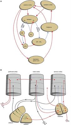 Circuits Regulating Pleasure and Happiness: The Evolution of the Amygdalar-Hippocampal-Habenular Connectivity in Vertebrates